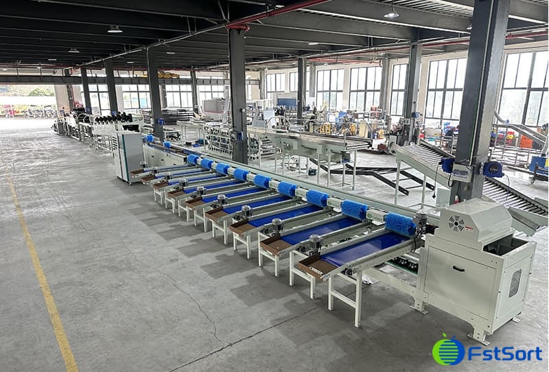 images/1670573181920pitaya cleaning drying grading machine.jpg